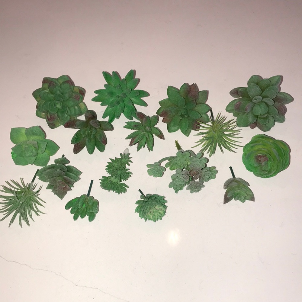 Artificial Succulents
